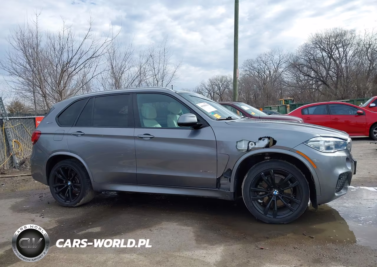 2018 BMW X5 Edrive xDrive40E Iperformance VIN:5UXKT0C57J0V99616 - 13