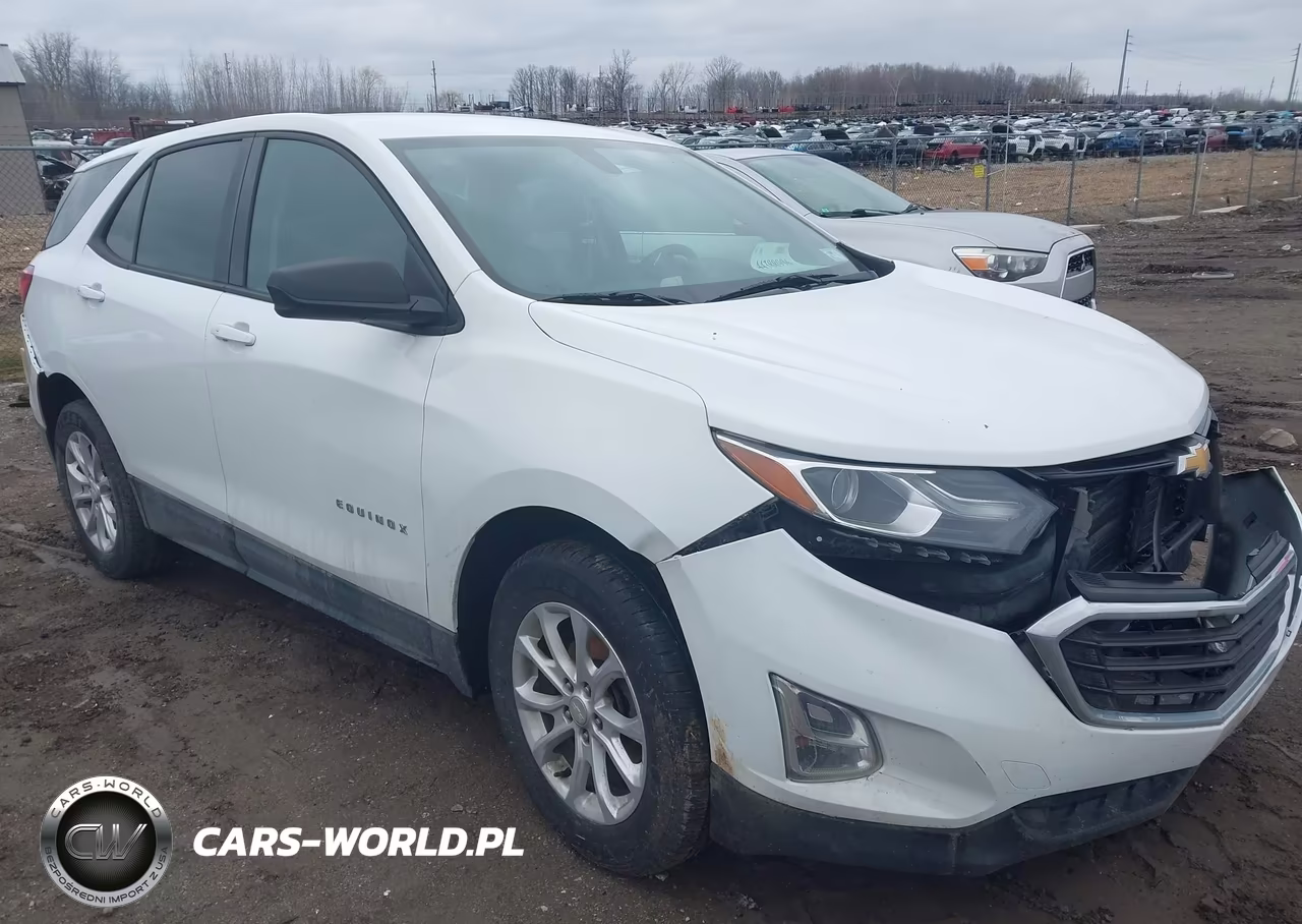2018 Chevrolet Equinox Ls – zdjęcie 1 z 16