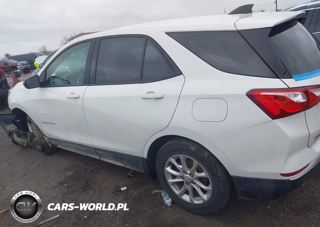 2018 Chevrolet Equinox Ls VIN:3GNAXREV9JL338503 - 13