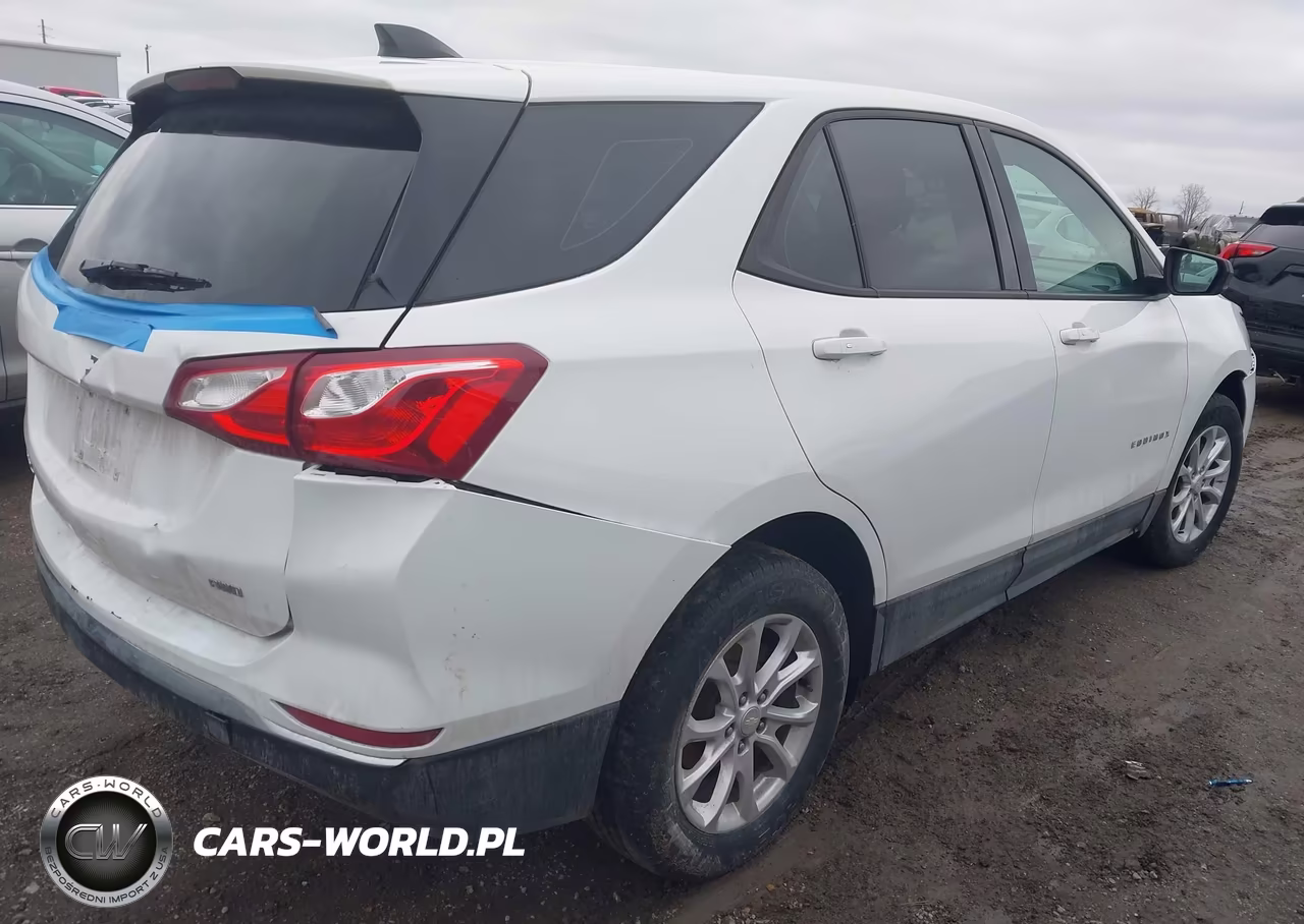 2018 Chevrolet Equinox Ls VIN:3GNAXREV9JL338503 - 4