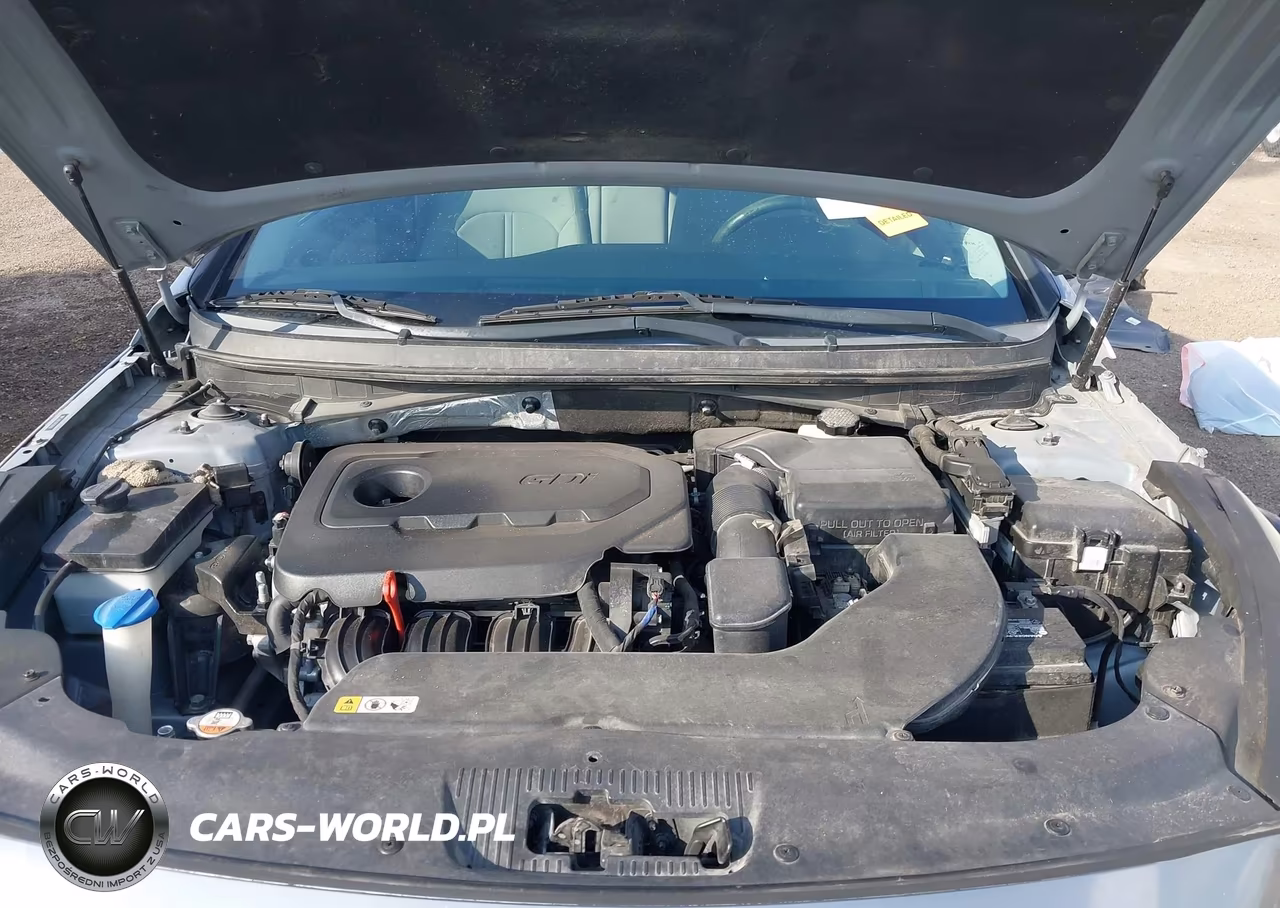 2016 Hyundai Sonata Se VIN:5NPE24AF3GH350262 - 10