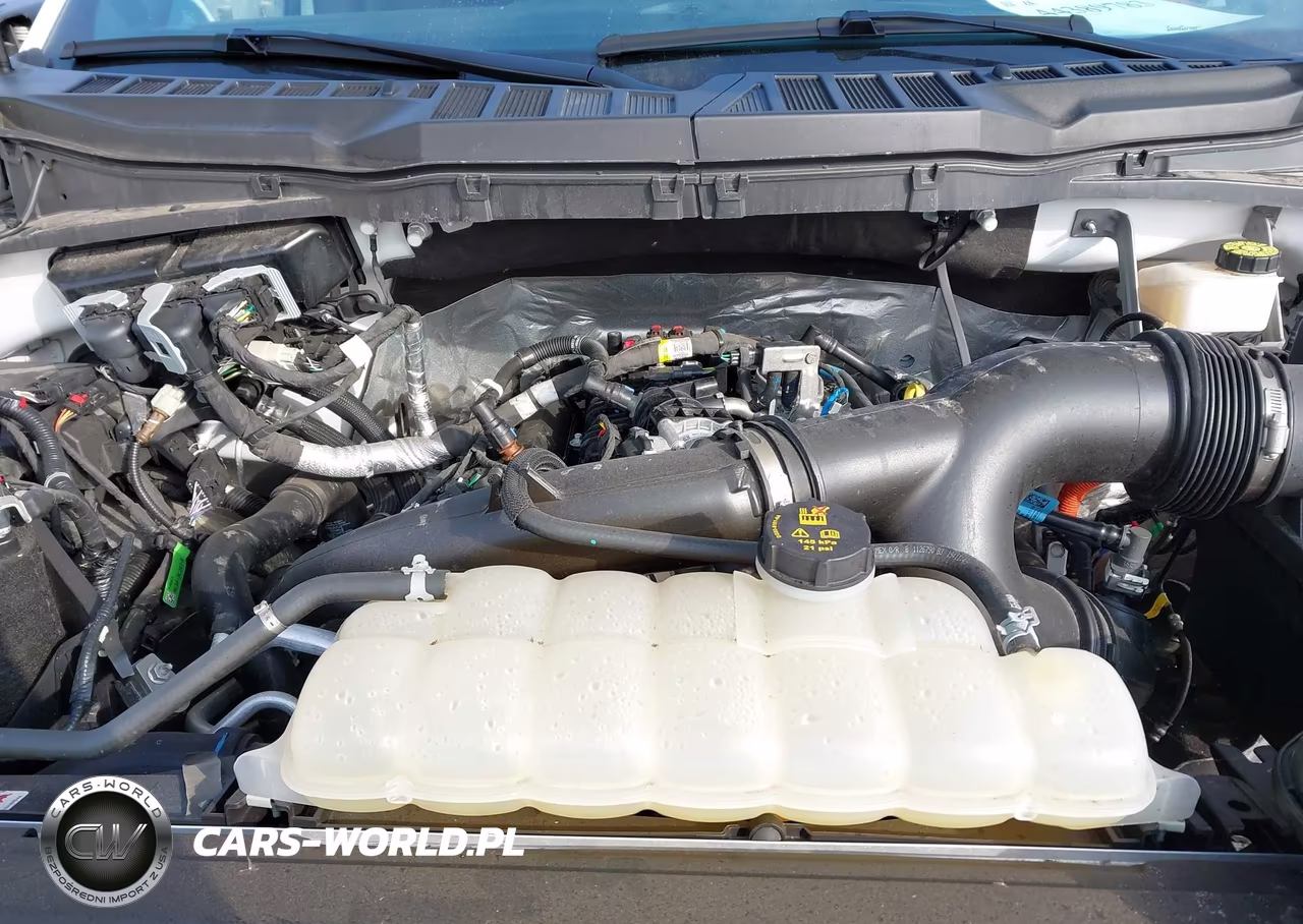 2024 Ford F-150 Xlt VIN:1FTEW3LP4RKE20182 - 10
