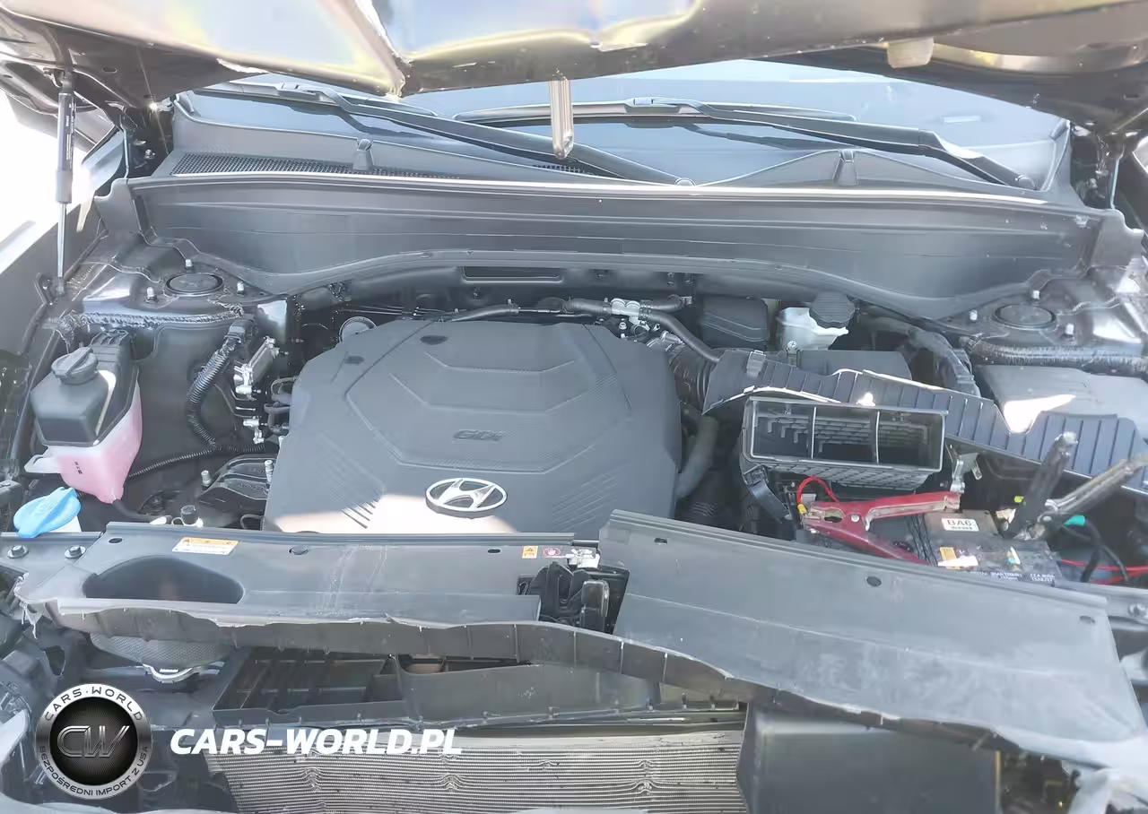 2024 Hyundai Palisade Calligraphy VIN:KM8R7DGE8RU721017 - 10