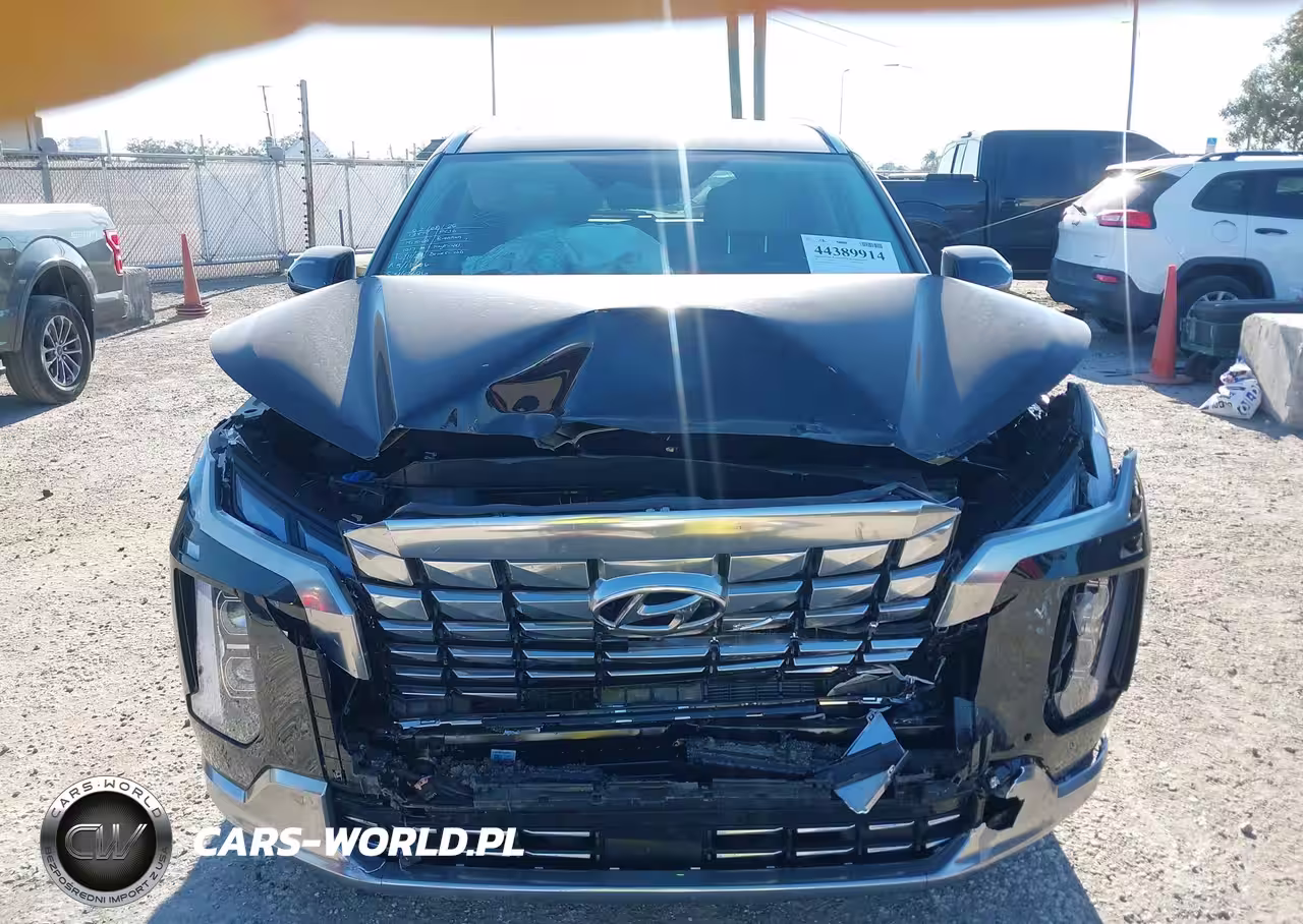 2024 Hyundai Palisade Calligraphy VIN:KM8R7DGE8RU721017 - 12