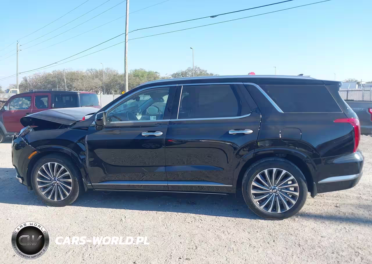 2024 Hyundai Palisade Calligraphy VIN:KM8R7DGE8RU721017 - 14