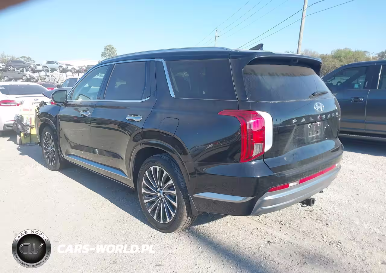 2024 Hyundai Palisade Calligraphy VIN:KM8R7DGE8RU721017 - 3
