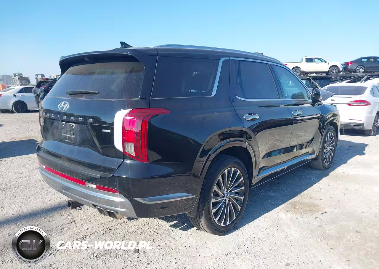 2024 Hyundai Palisade Calligraphy VIN:KM8R7DGE8RU721017 - 4