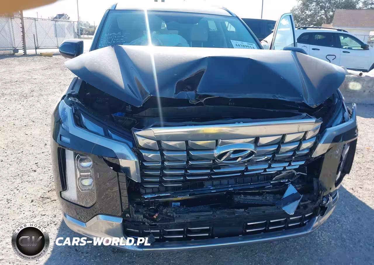 2024 Hyundai Palisade Calligraphy VIN:KM8R7DGE8RU721017 - 6