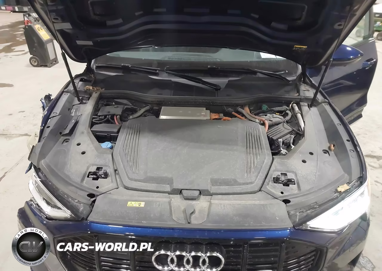2021 Audi E-Tron Premium Plus Quattro VIN:WA1LAAGE2MB037816 - 10