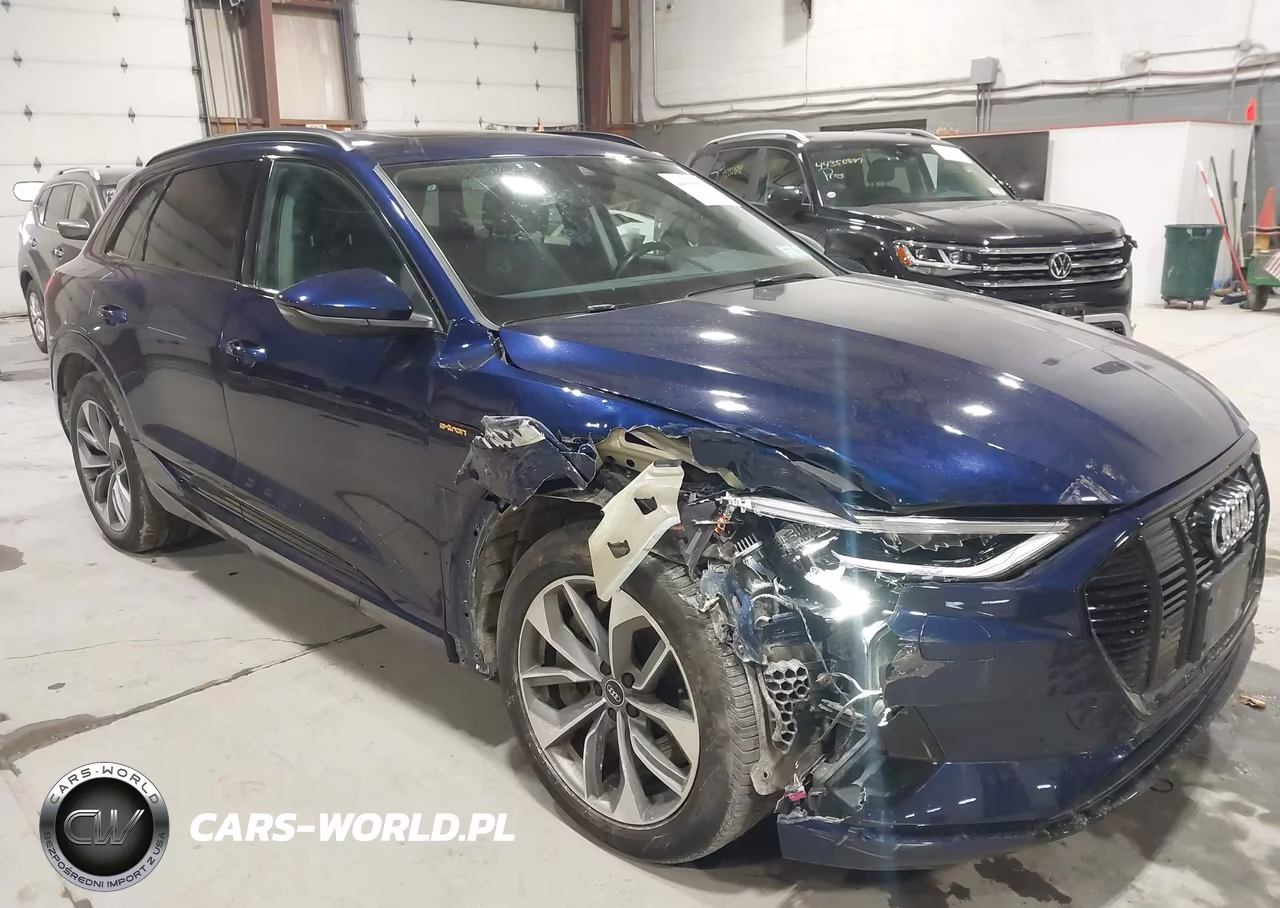 2021 Audi E-Tron Premium Plus Quattro VIN:WA1LAAGE2MB037816 - 6