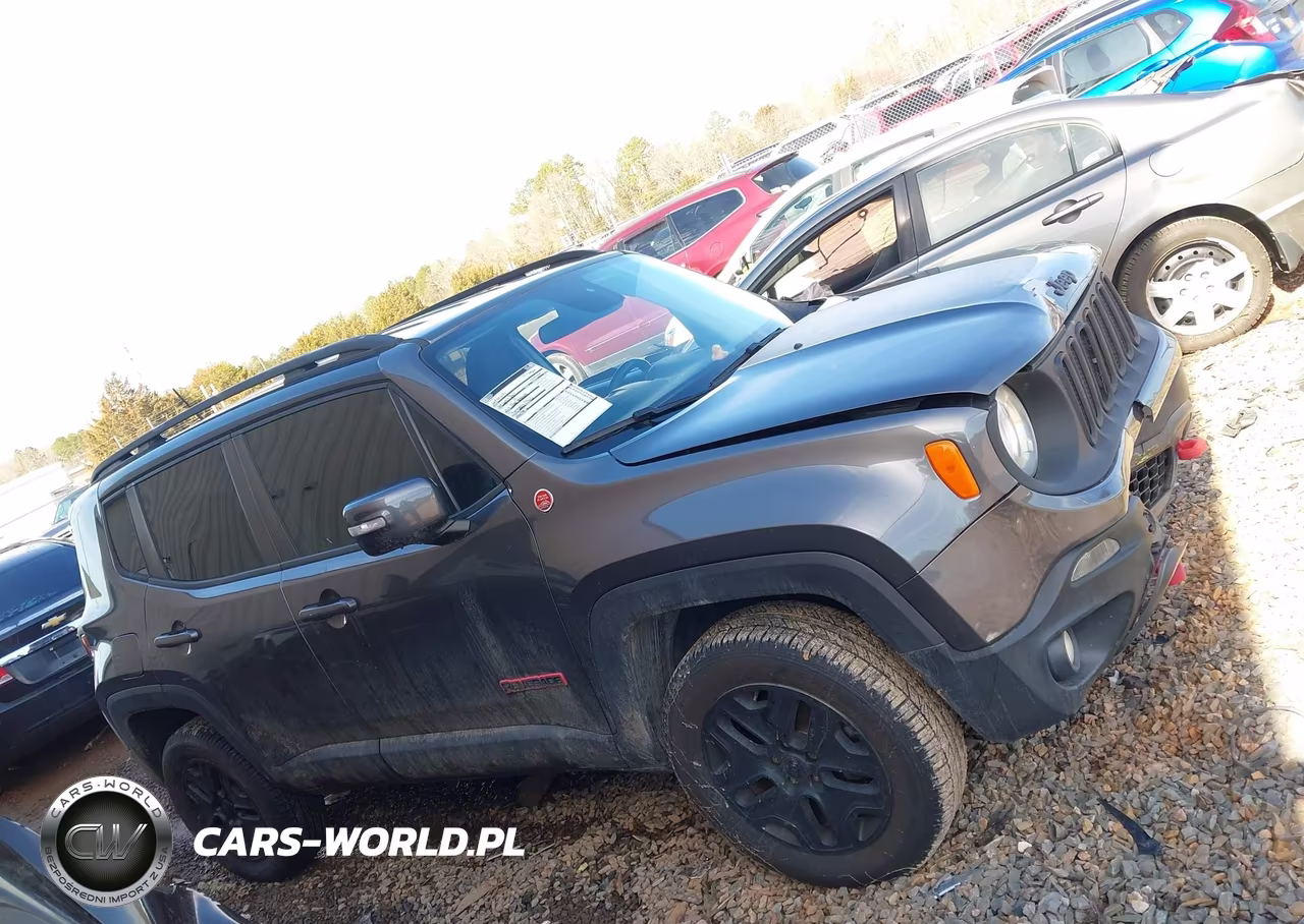 2017 Jeep Renegade Trailhawk 4X4 VIN:ZACCJBCB3HPE54221 - 13