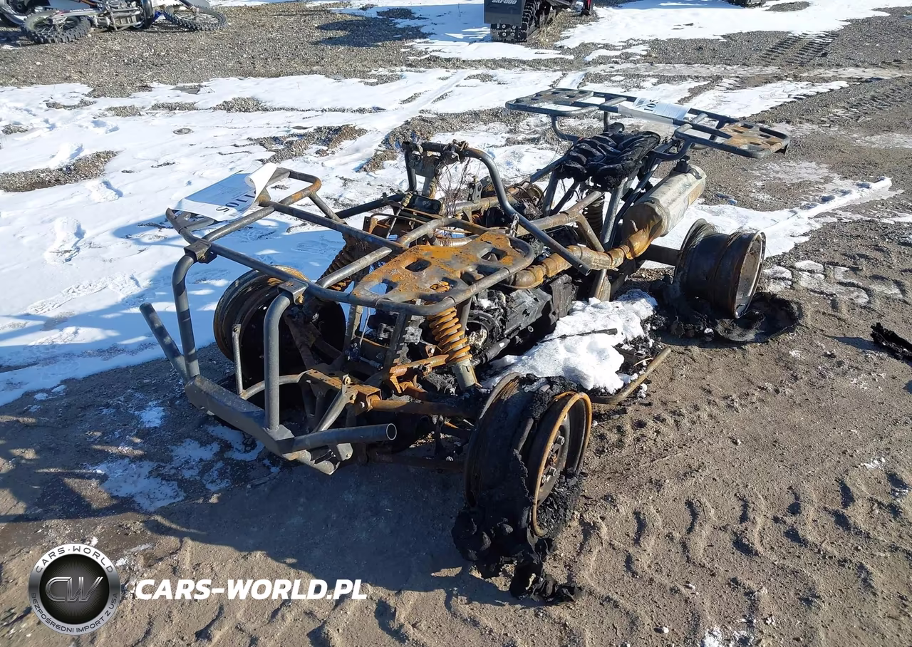 2022 Honda Trx420 Fa VIN:1HFTE4191N4800864 - 2