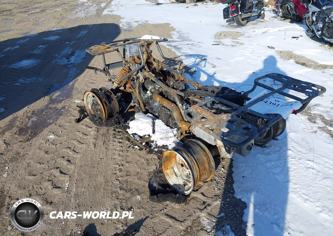 2022 Honda Trx420 Fa VIN:1HFTE4191N4800864 - 3