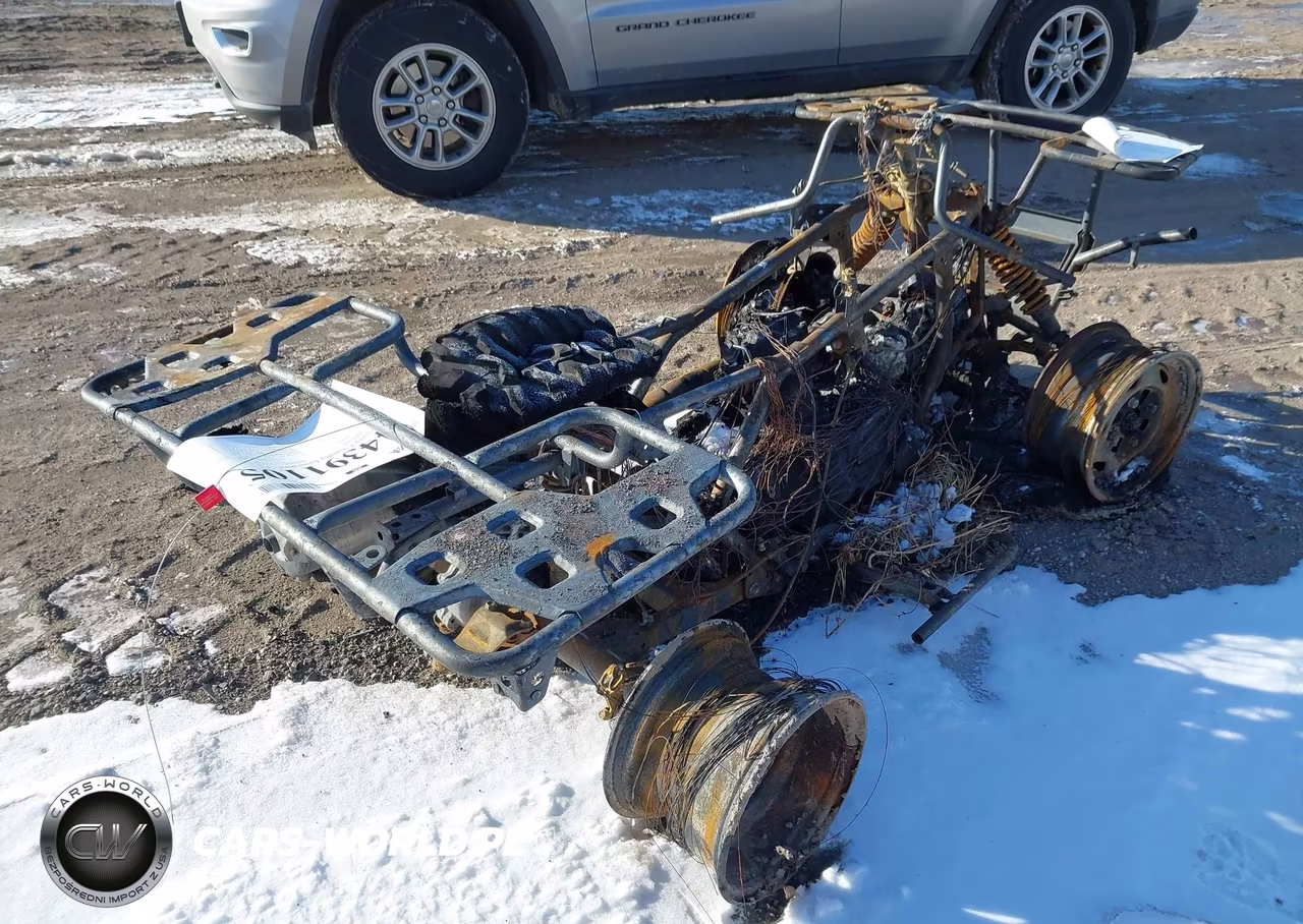 2022 Honda Trx420 Fa VIN:1HFTE4191N4800864 - 4