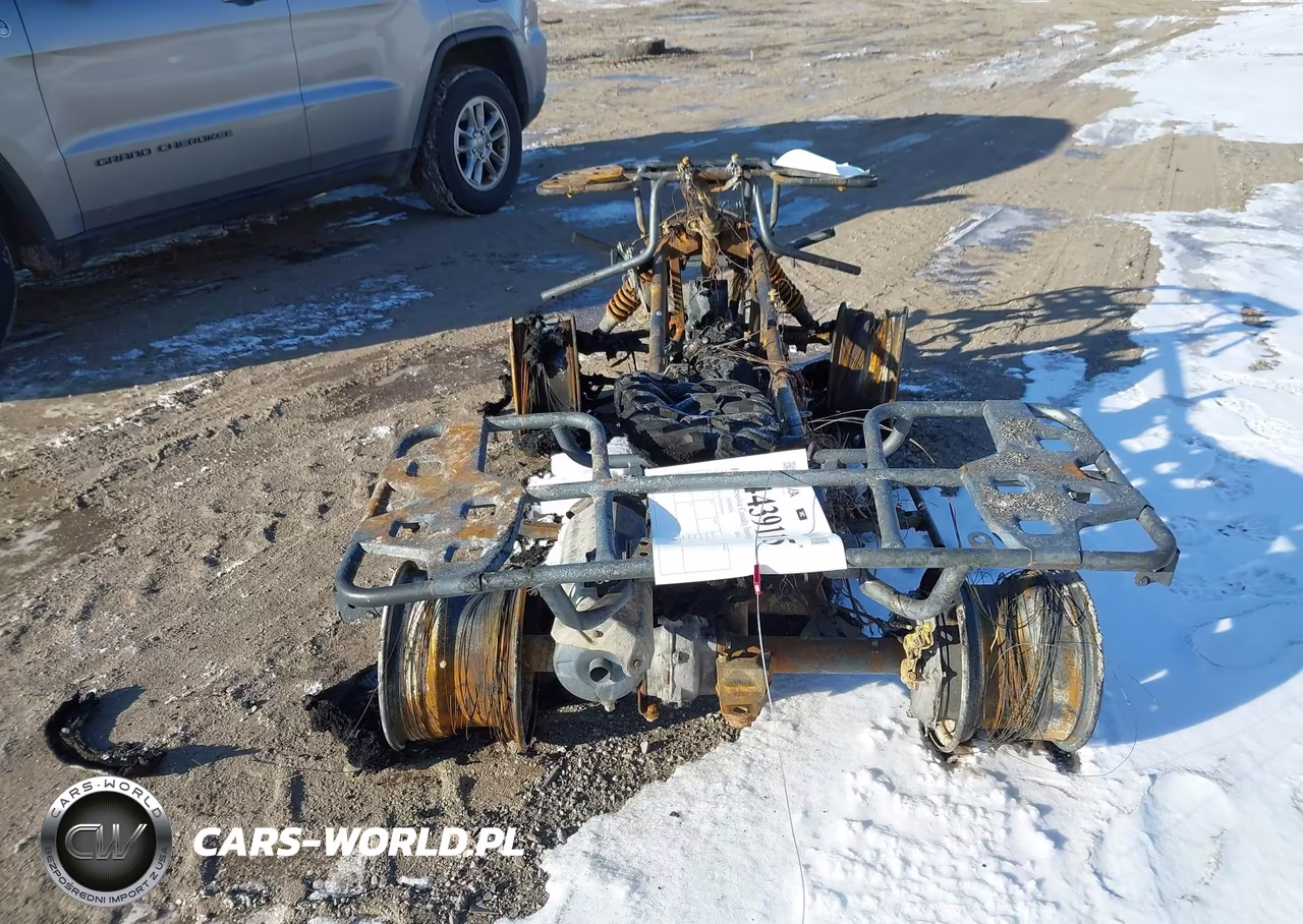 2022 Honda Trx420 Fa VIN:1HFTE4191N4800864 - 6