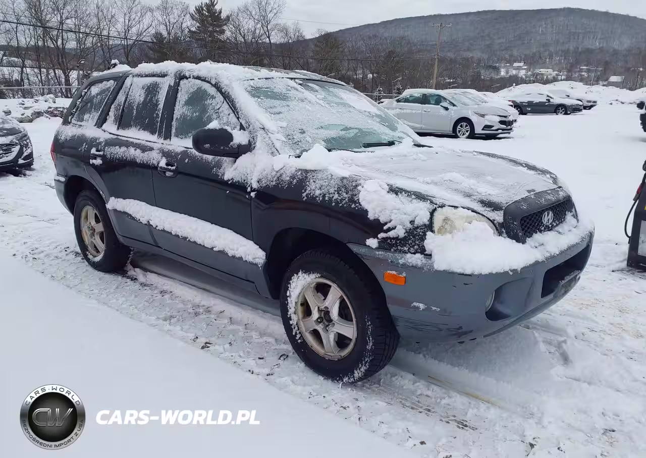 2004 Hyundai Santa Fe Gls