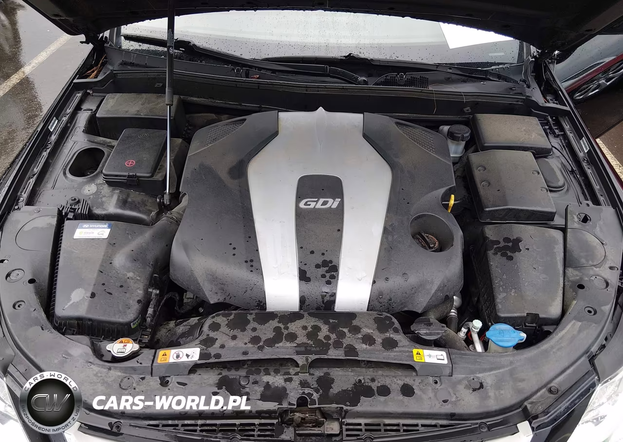 2013 Hyundai Genesis 3.8 VIN:KMHGC4DD0DU257499 - 10