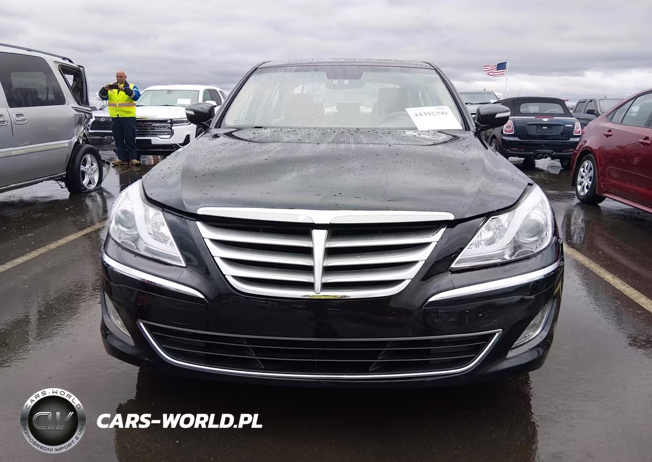 2013 Hyundai Genesis 3.8 VIN:KMHGC4DD0DU257499 - 12