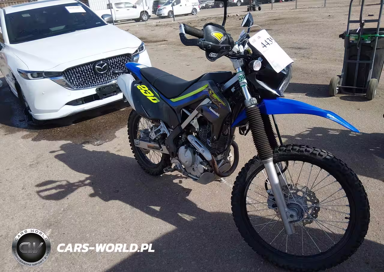 2022 Kawasaki Klx230 D