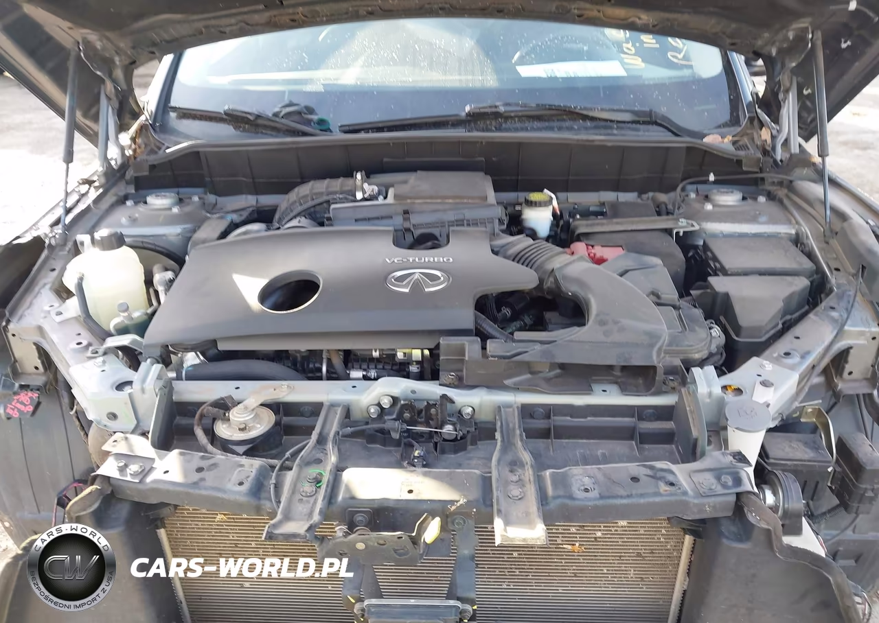 2019 Infiniti Qx50 Luxe VIN:3PCAJ5M16KF144142 - 10