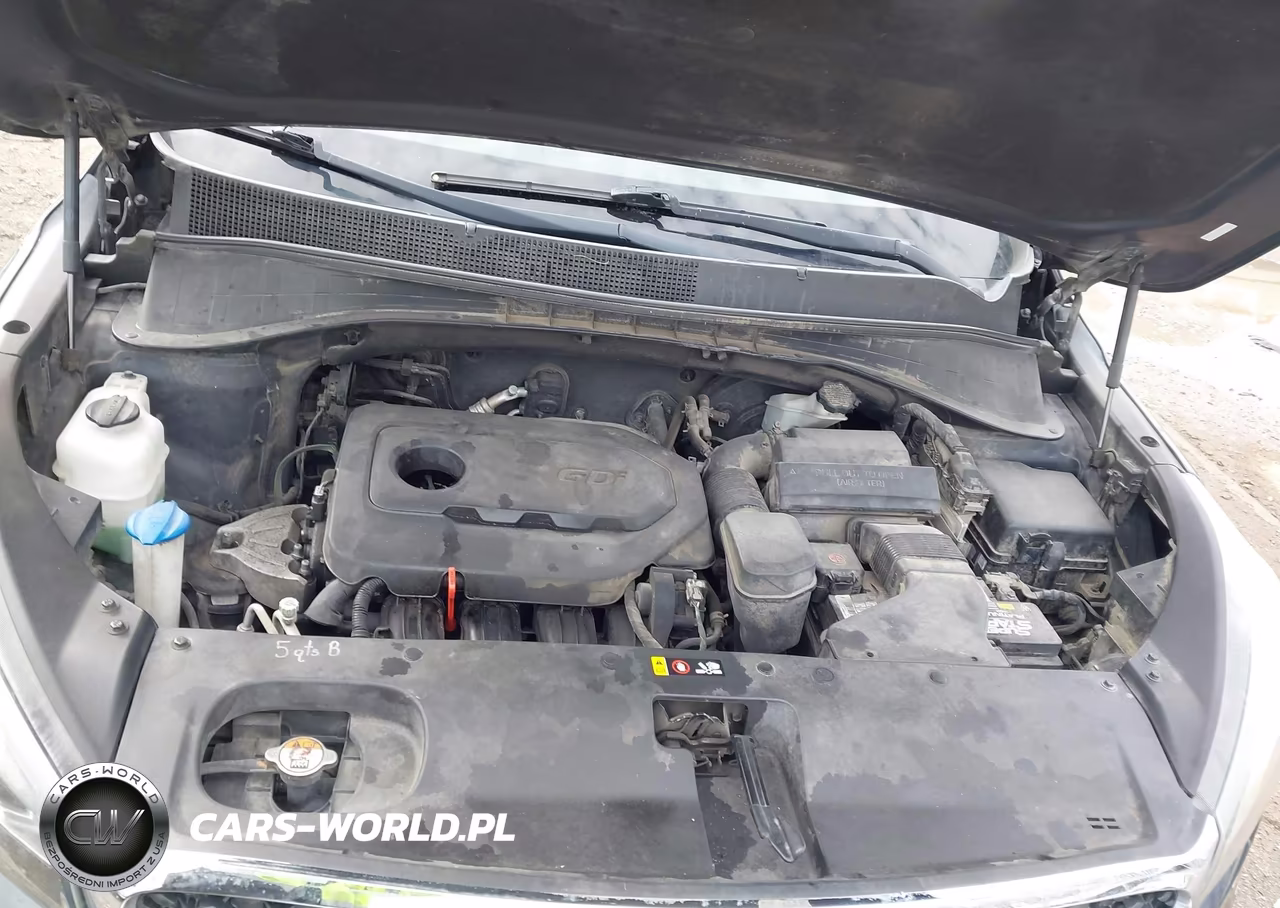 2017 Kia Sorento 2.4L Lx VIN:5XYPGDA36HG271404 - 10