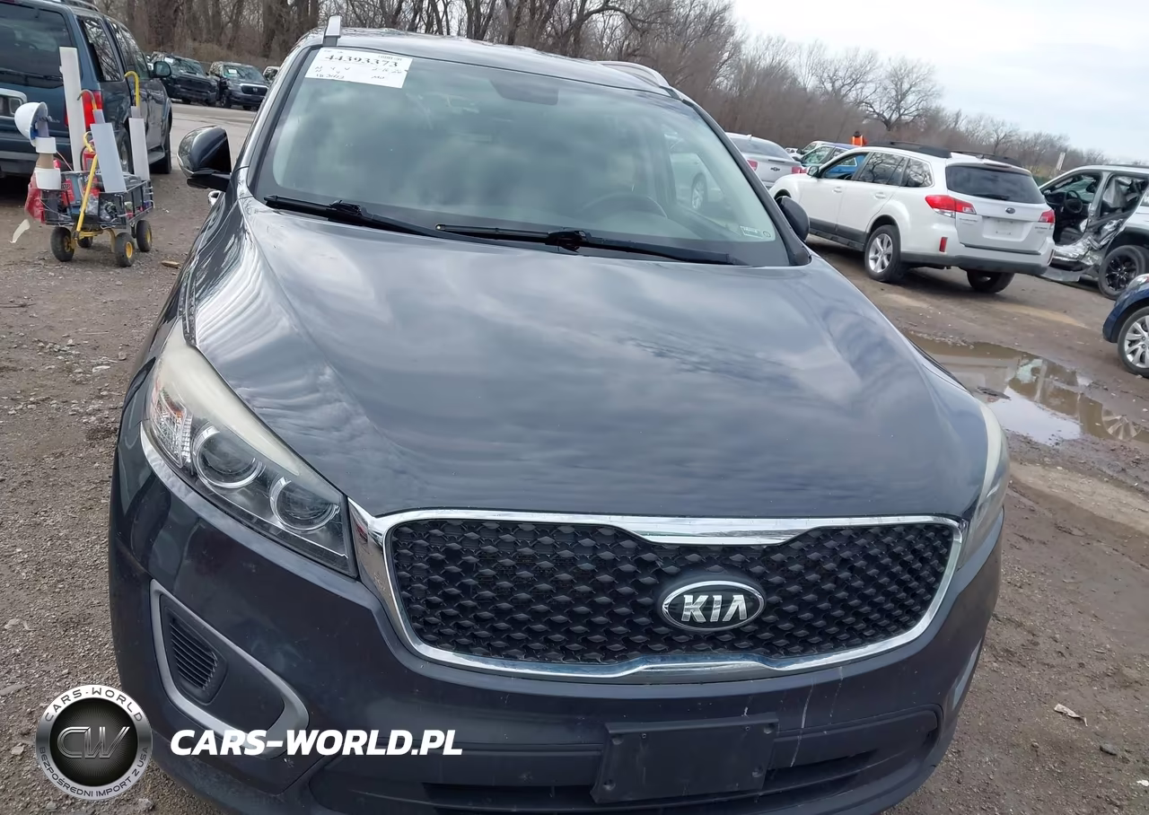2017 Kia Sorento 2.4L Lx VIN:5XYPGDA36HG271404 - 12