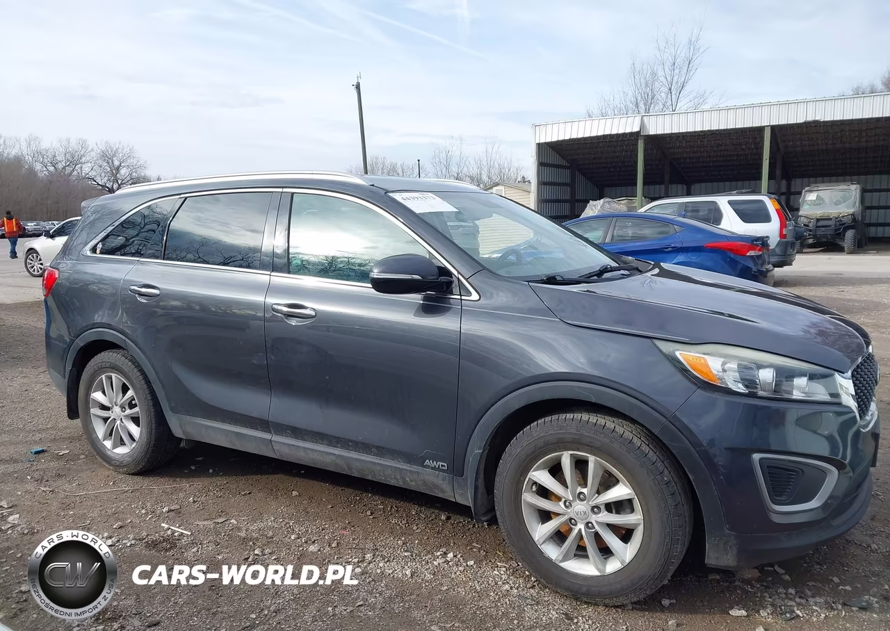 2017 Kia Sorento 2.4L Lx VIN:5XYPGDA36HG271404 - 13