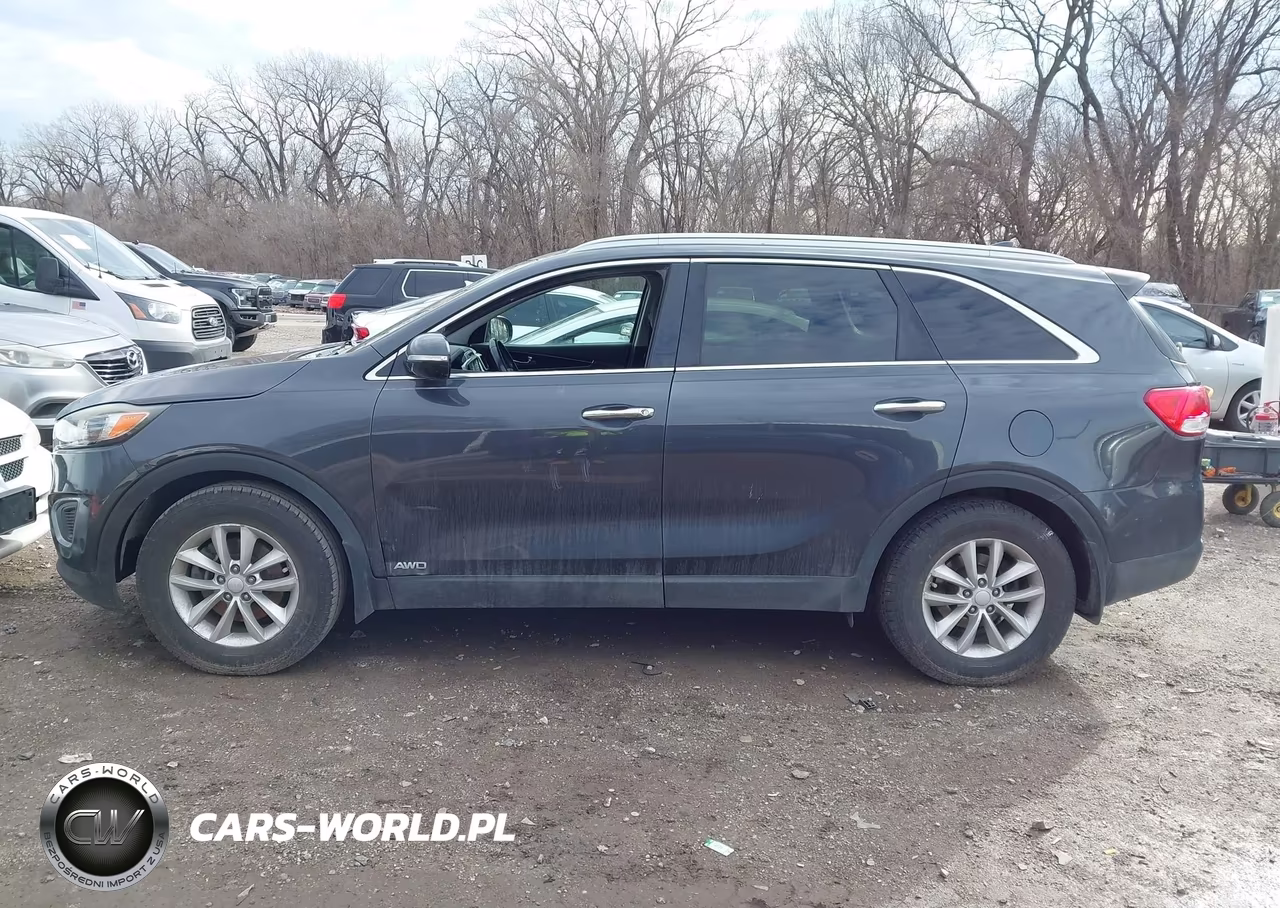 2017 Kia Sorento 2.4L Lx VIN:5XYPGDA36HG271404 - 14
