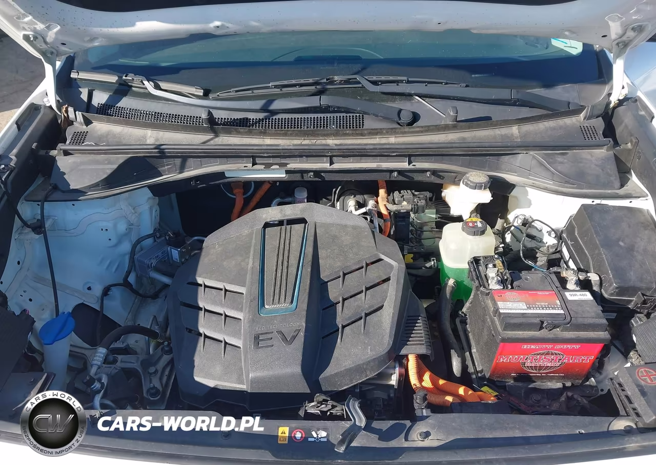 2020 Kia Niro Ev Ex Premium VIN:KNDCE3LG9L5060844 - 10