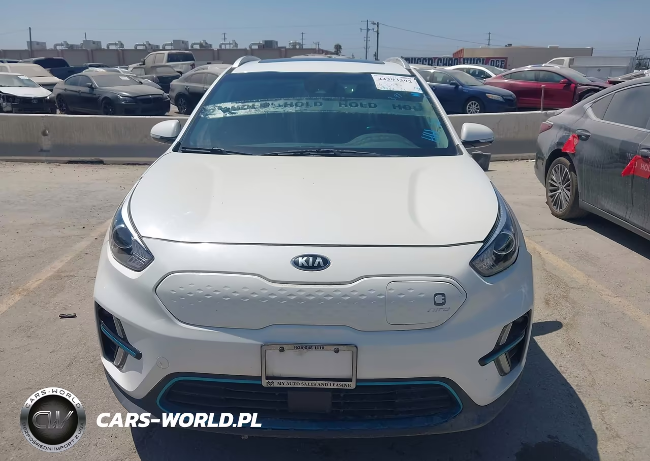2020 Kia Niro Ev Ex Premium VIN:KNDCE3LG9L5060844 - 12