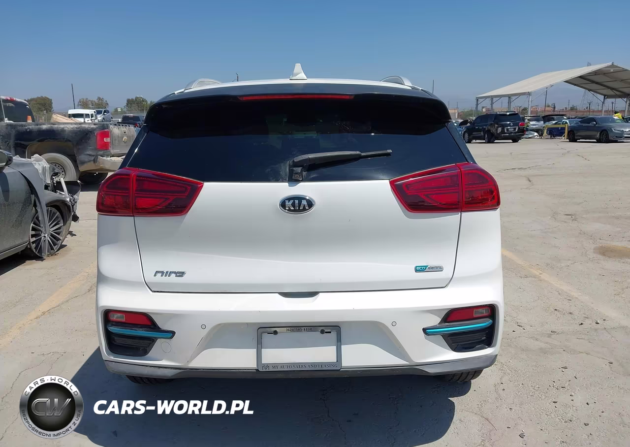 2020 Kia Niro Ev Ex Premium VIN:KNDCE3LG9L5060844 - 16