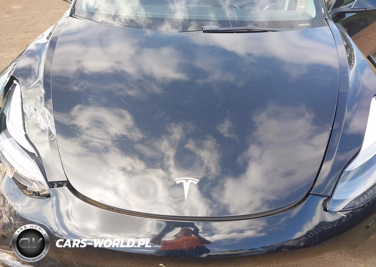2022 Tesla Model 3 Rear-Wheel Drive VIN:5YJ3E1EA2NF125824 - 10