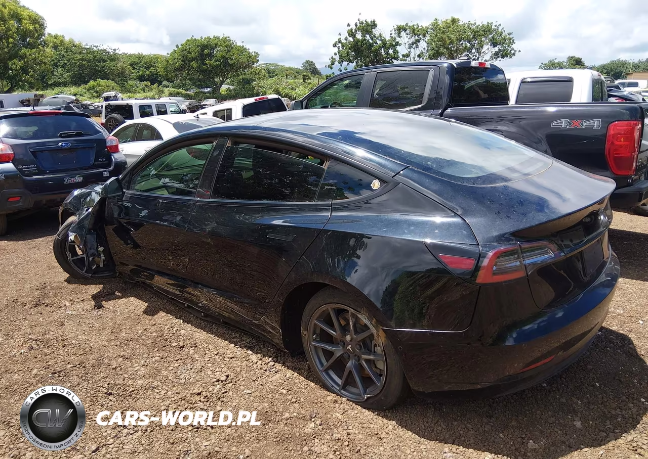 2022 Tesla Model 3 Rear-Wheel Drive VIN:5YJ3E1EA2NF125824 - 3