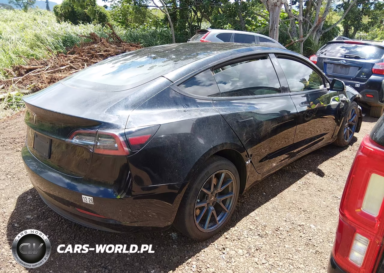 2022 Tesla Model 3 Rear-Wheel Drive VIN:5YJ3E1EA2NF125824 - 4