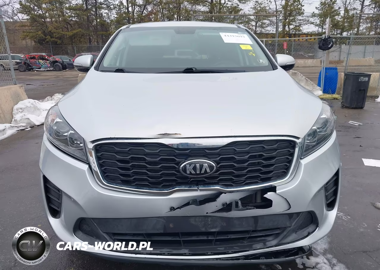 2019 Kia Sorento 2.4L Lx VIN:5XYPGDA30KG565386 - 12