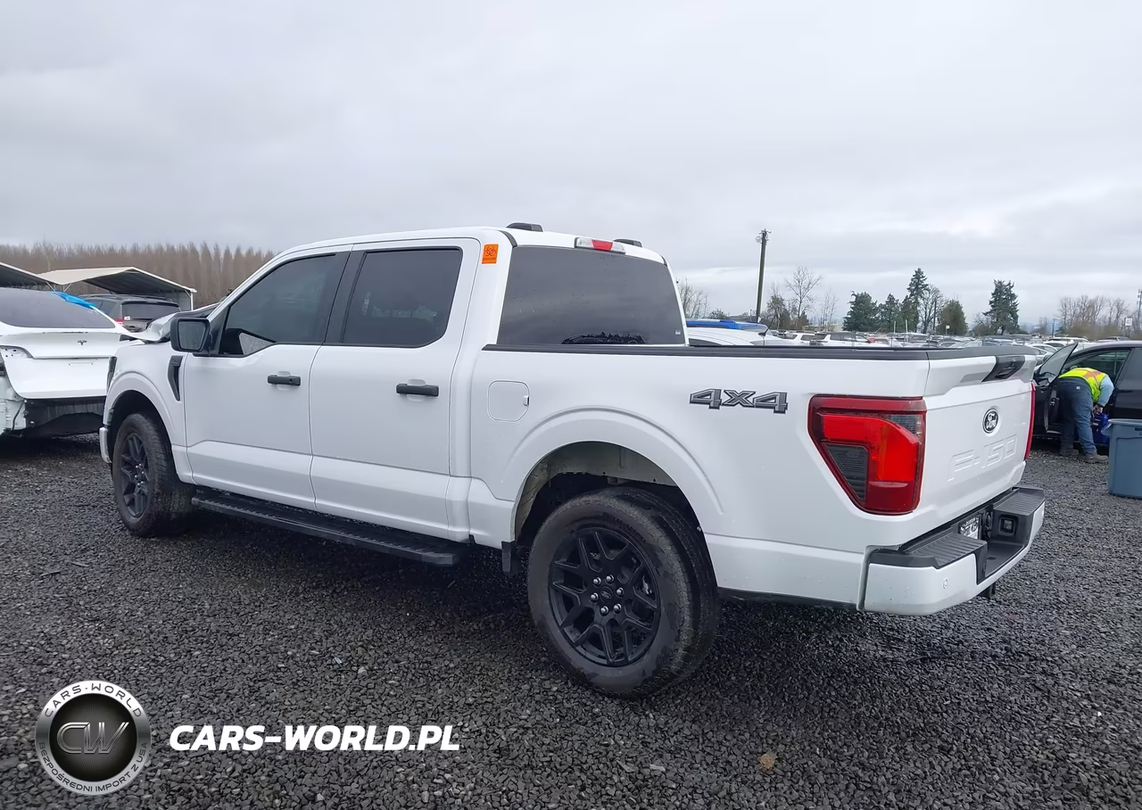 2025 Ford F-150 Stx VIN:1FTEW2LP6SKE34097 - 3