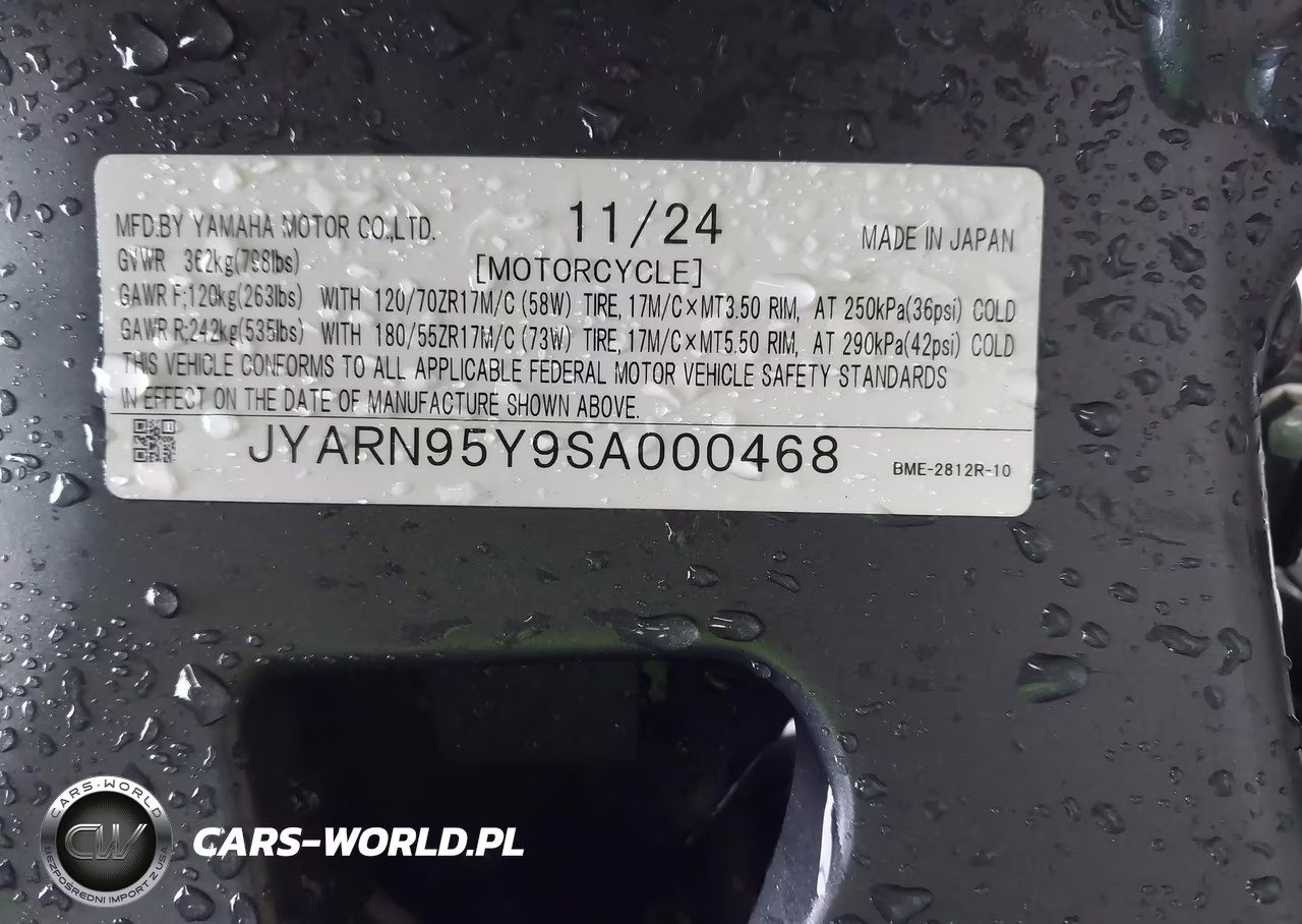 2025 Yamaha Mt09 Sp VIN:JYARN95Y9SA000468 - 10