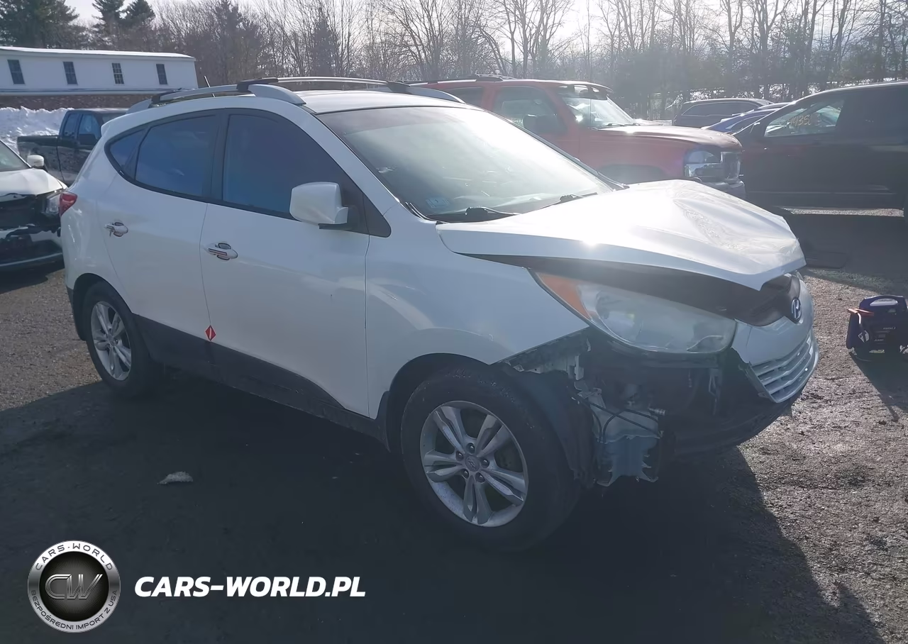 2010 Hyundai Tucson Gls – zdjęcie 1 z 13