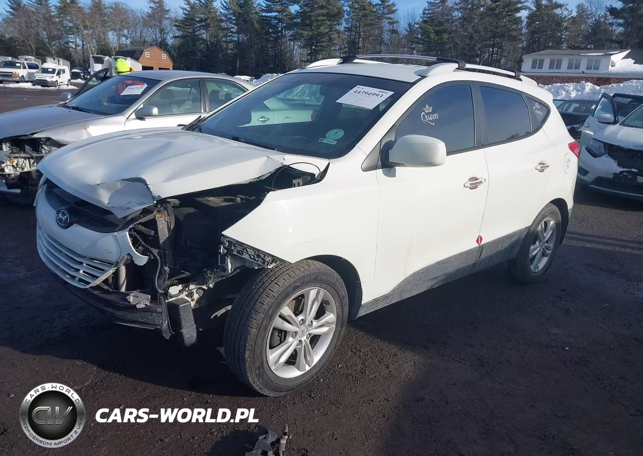 2010 Hyundai Tucson Gls VIN:KM8JUCACXAU060781 - 2