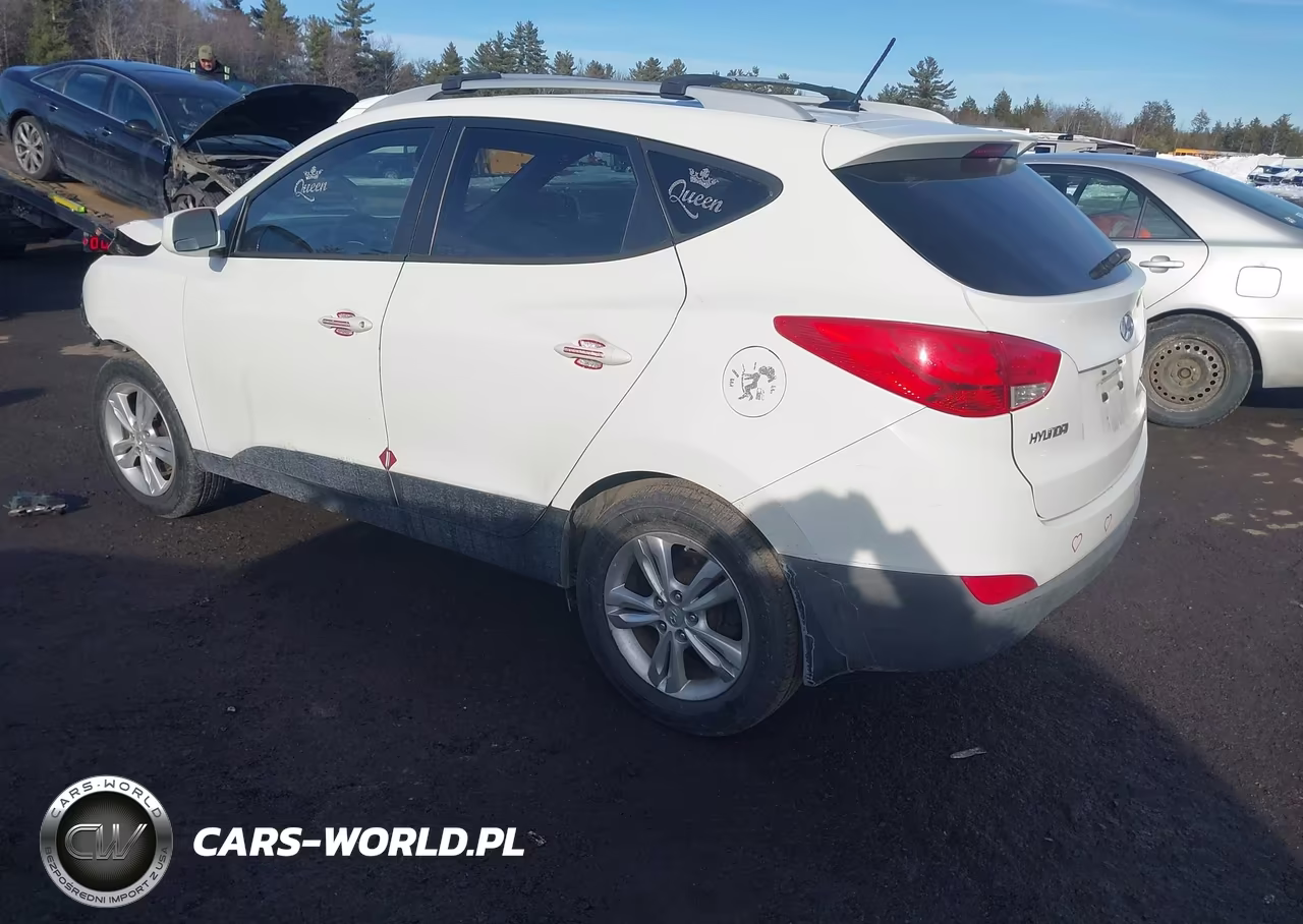 2010 Hyundai Tucson Gls VIN:KM8JUCACXAU060781 - 3