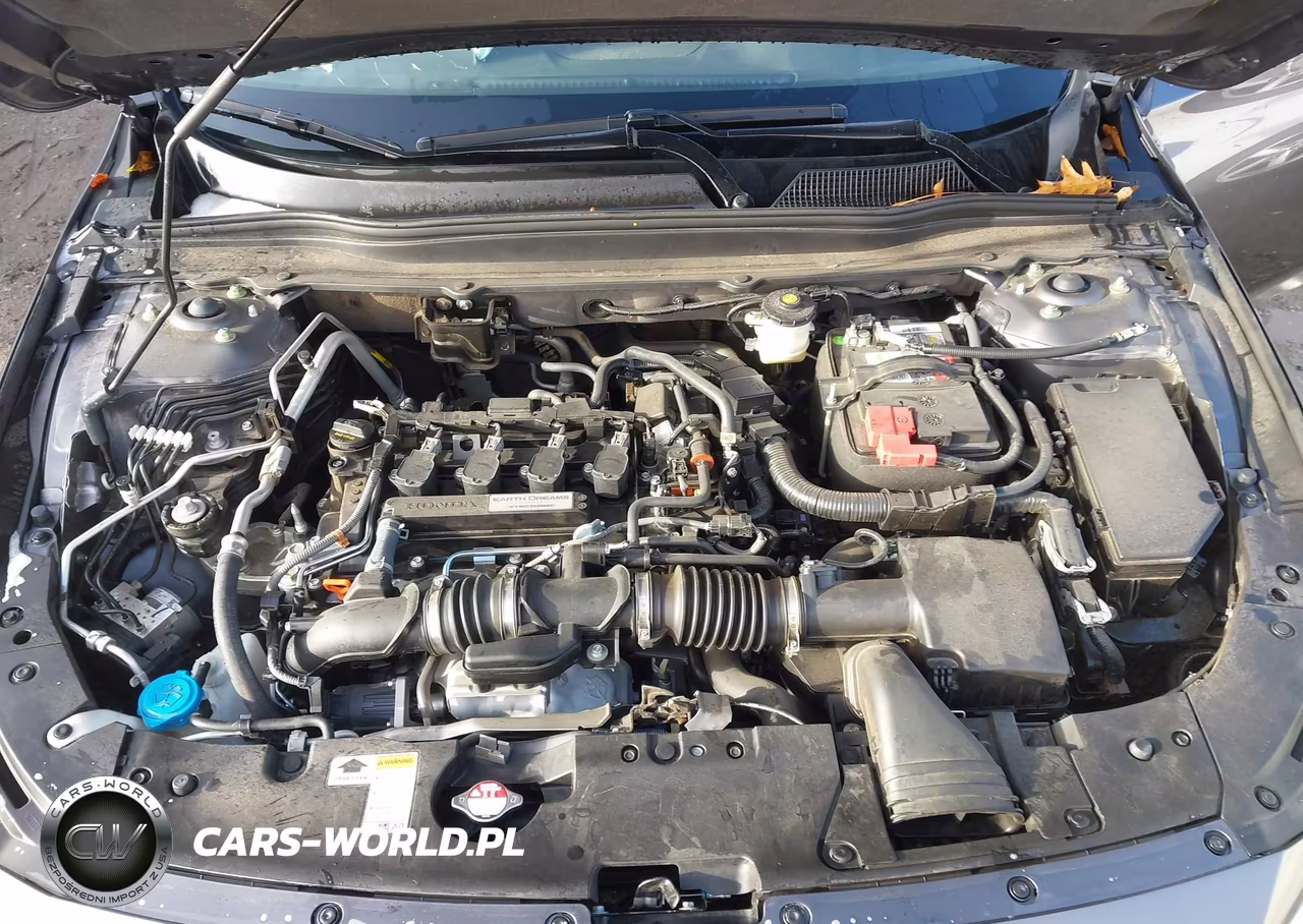 2019 Honda Accord Ex-L VIN:1HGCV1F59KA087869 - 10