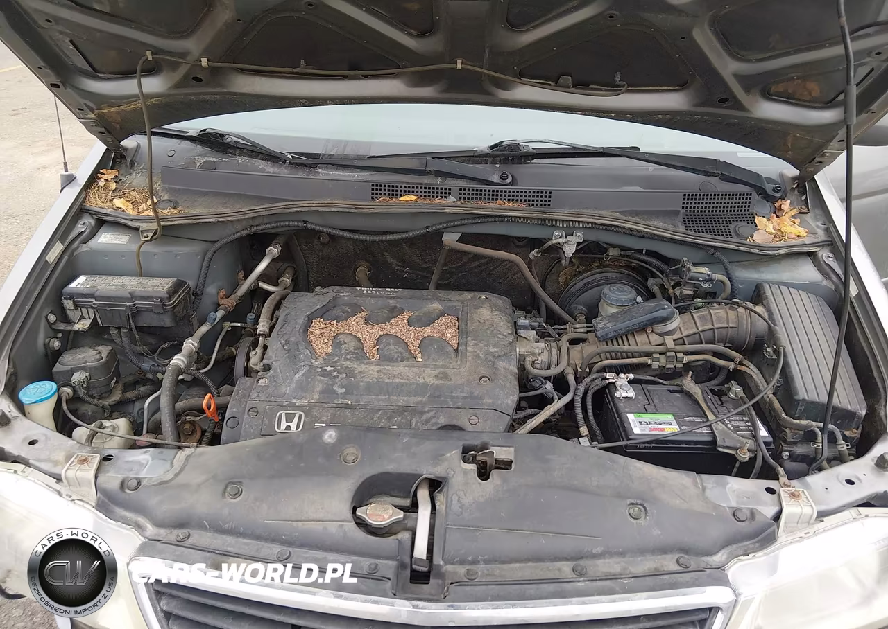 2001 Honda Odyssey Ex VIN:2HKRL18681H568384 - 10