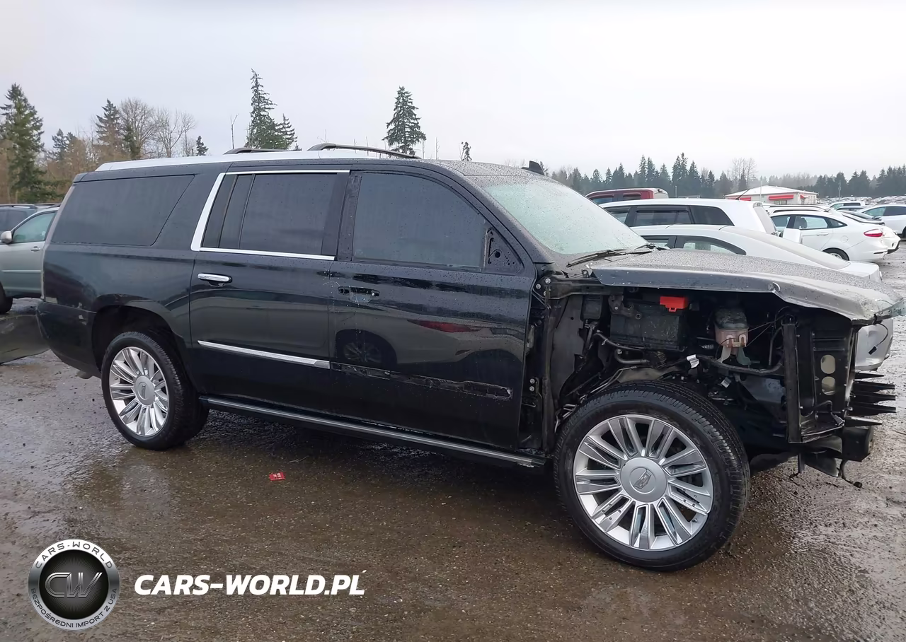 2020 Cadillac Escalade Esv 4Wd Platinum VIN:1GYS4KKJXLR134507 - 14