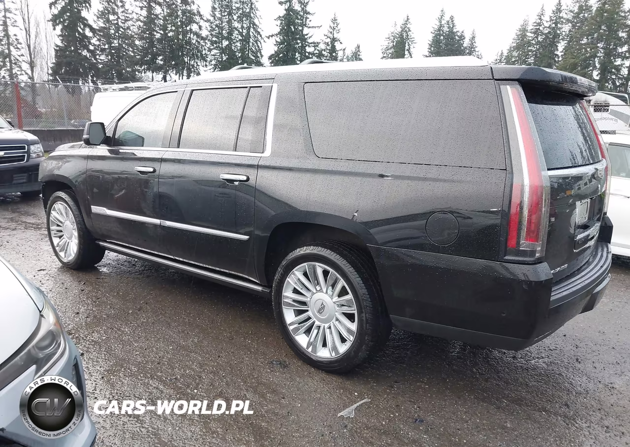 2020 Cadillac Escalade Esv 4Wd Platinum VIN:1GYS4KKJXLR134507 - 15