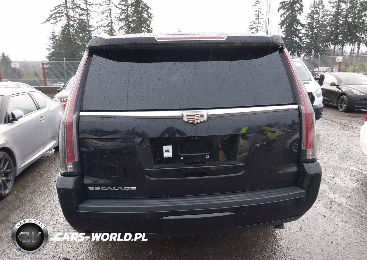 2020 Cadillac Escalade Esv 4Wd Platinum VIN:1GYS4KKJXLR134507 - 17