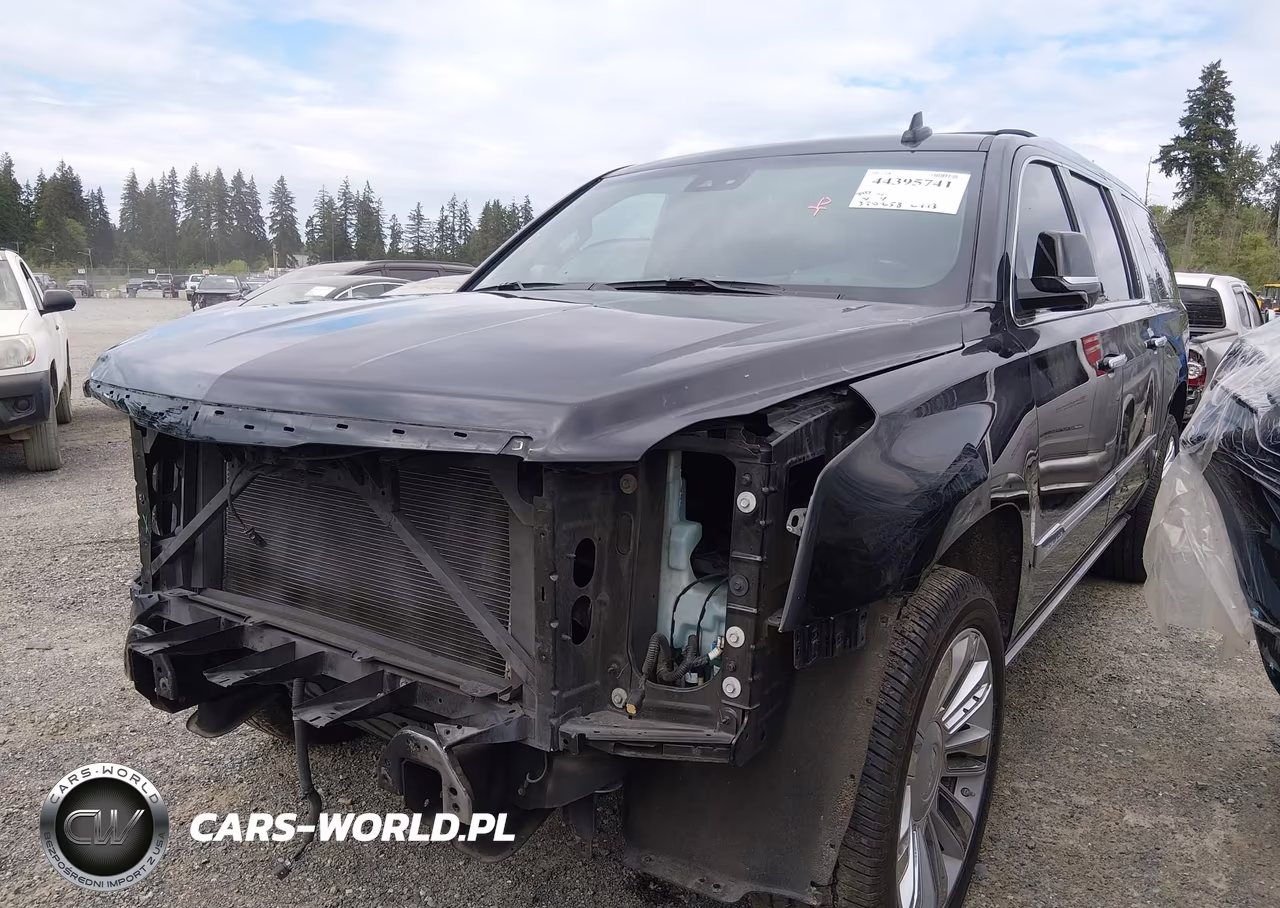 2020 Cadillac Escalade Esv 4Wd Platinum VIN:1GYS4KKJXLR134507 - 2