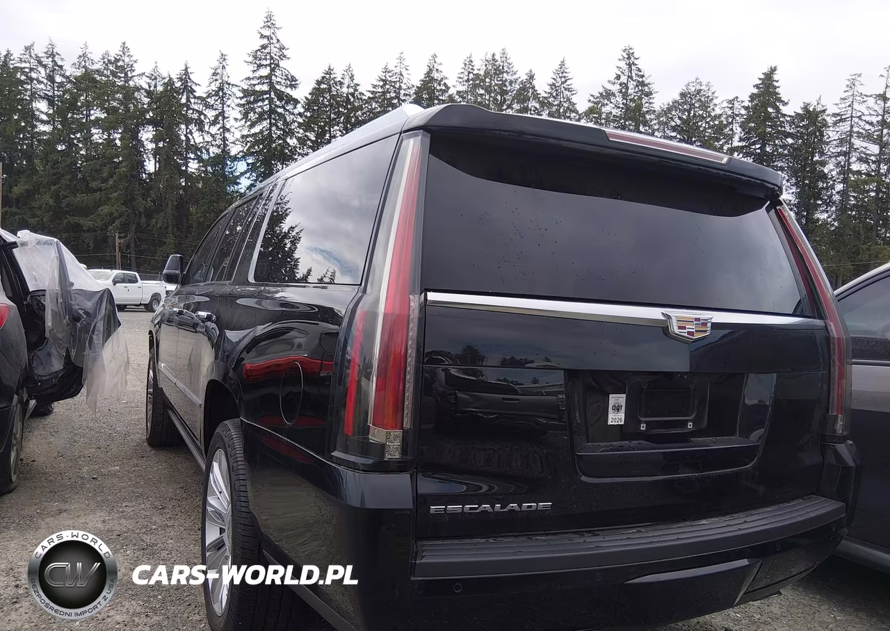 2020 Cadillac Escalade Esv 4Wd Platinum VIN:1GYS4KKJXLR134507 - 3