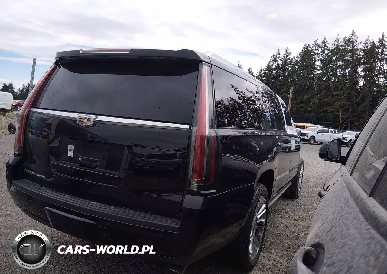 2020 Cadillac Escalade Esv 4Wd Platinum VIN:1GYS4KKJXLR134507 - 4