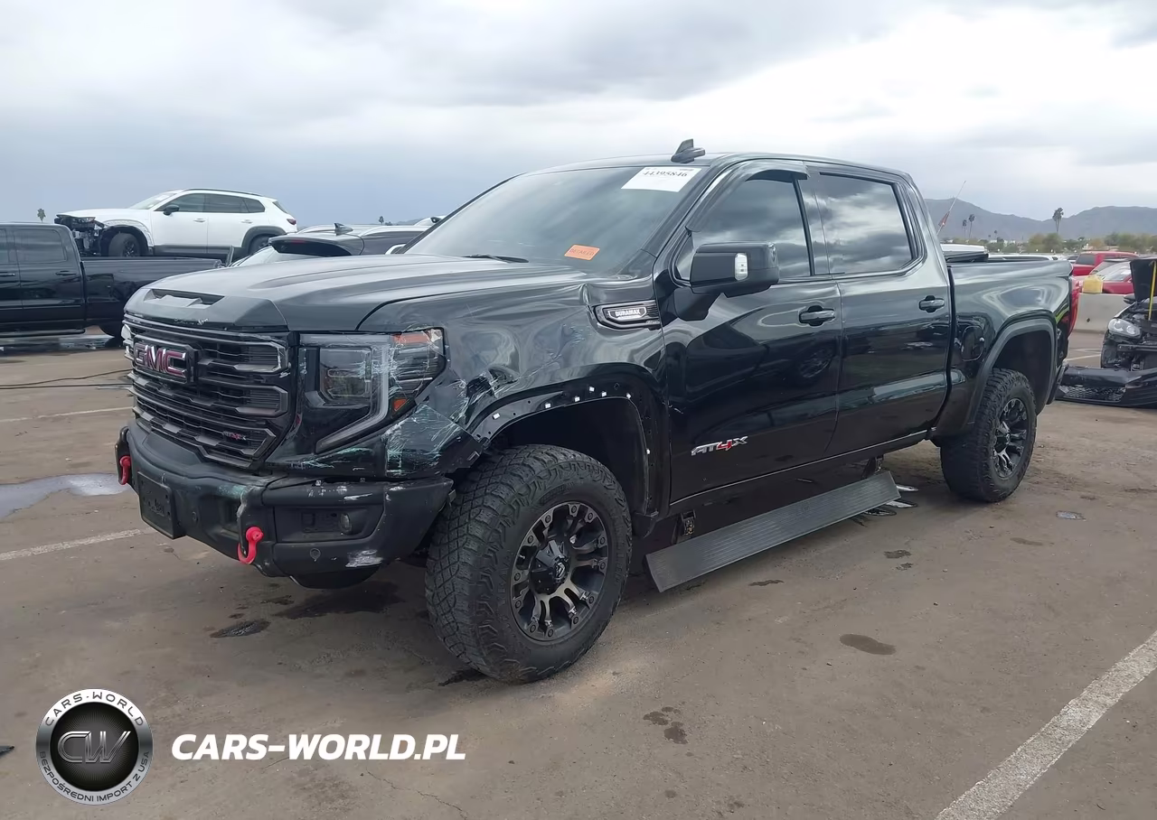 2024 GMC Sierra 1500 VIN:3GTUUFE80RG316661 - 2