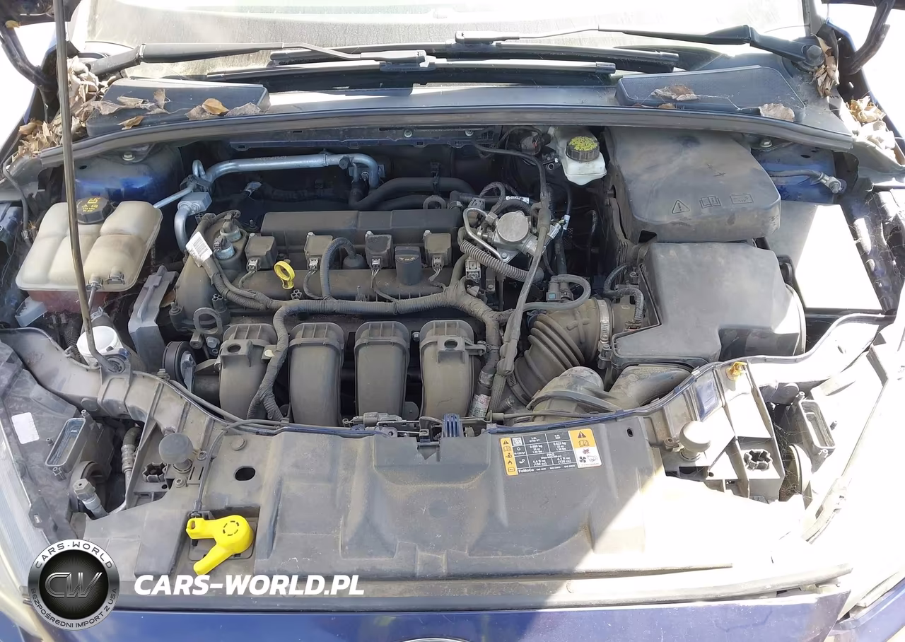 2017 Ford Focus Sel VIN:1FADP3M2XHL211524 - 10
